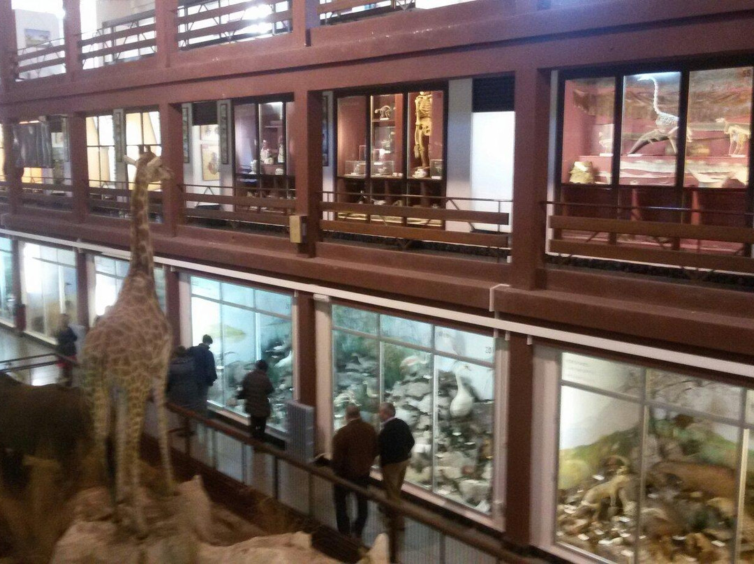 Museo de Ciencias Naturales El Carmen景点图片