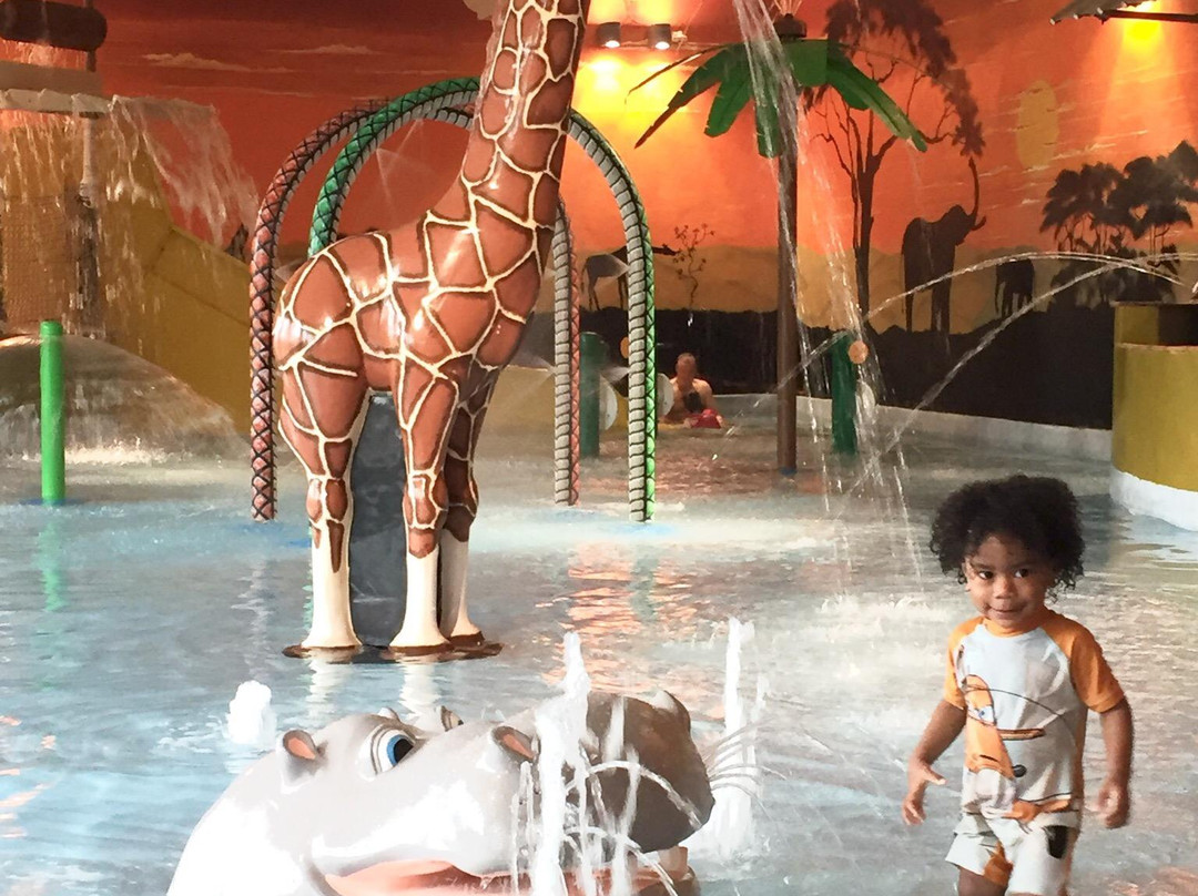Savannah Splash Pool & Gym景点图片