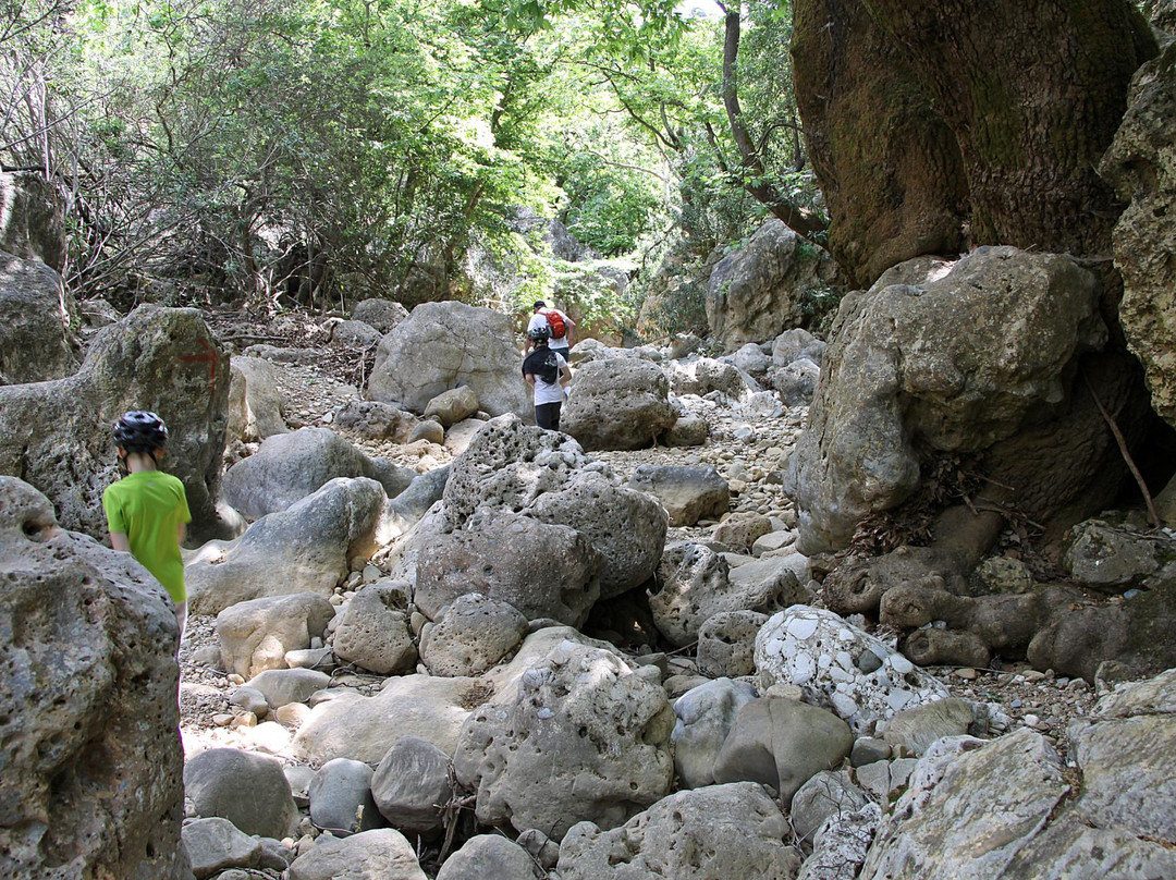 Katochori旅游攻略图片