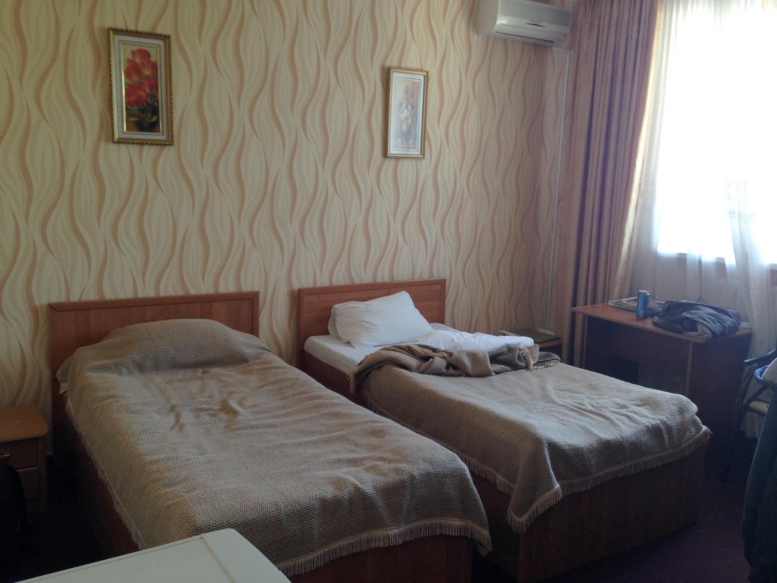 Altyn-Adam Hotel-客卧