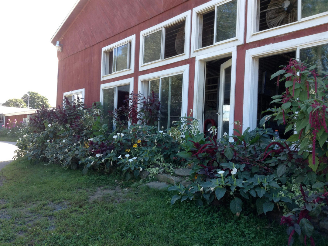 Mac's Maple-Plainfield必去景点