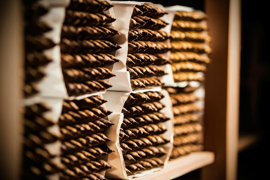 Vivonte Cigars-普拉塔港必去景点