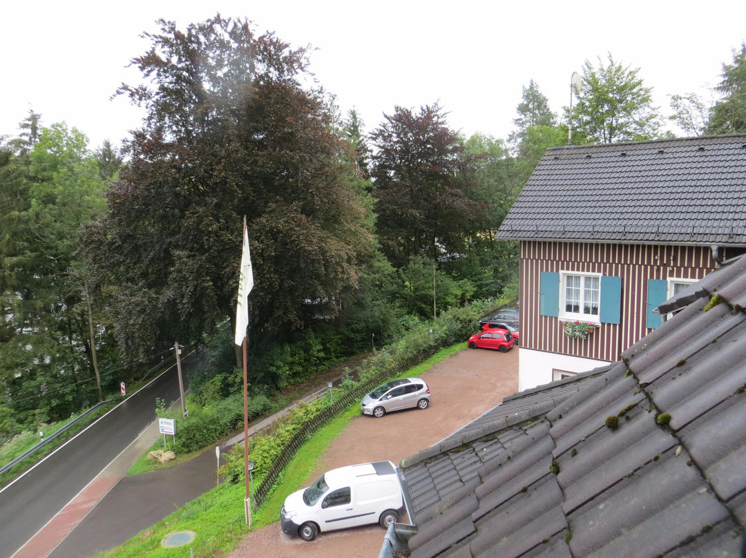 Hotel Waldhaus Lauenhain主图