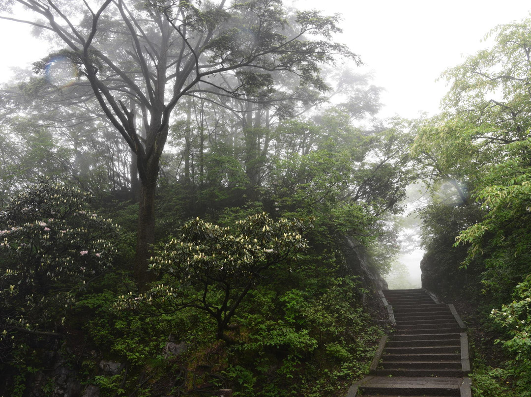 雷洞坪-峨眉山市必去景点