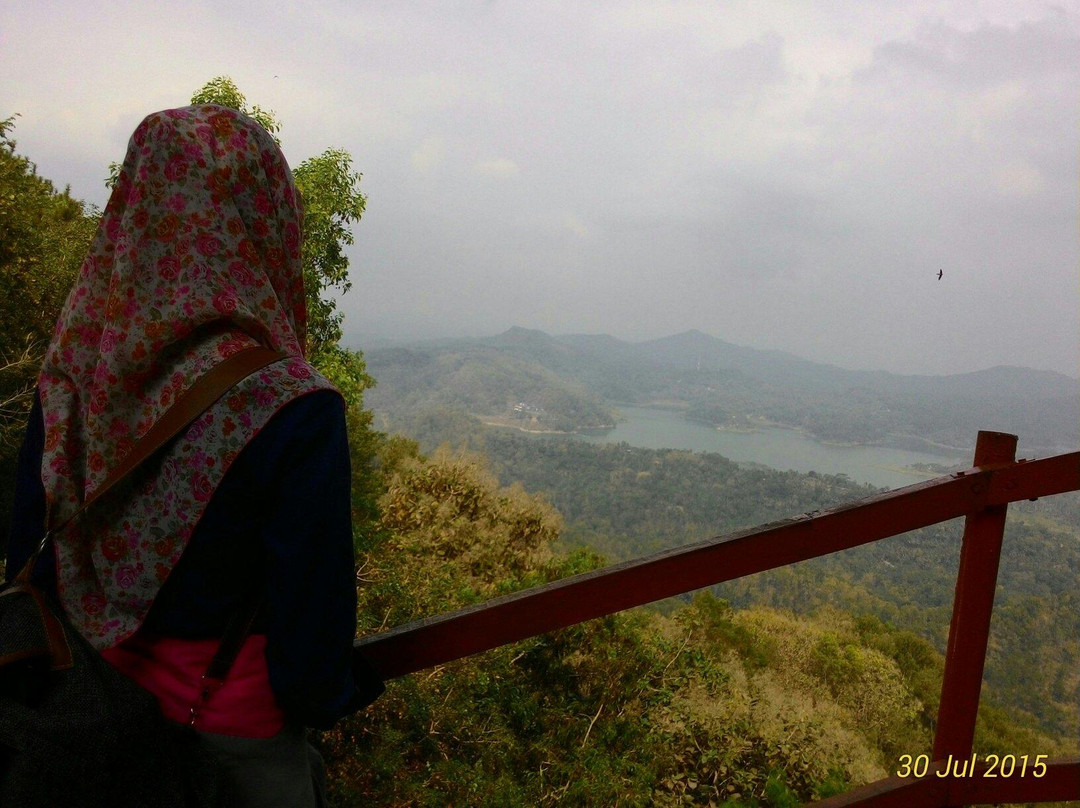 Wisata Kalibiru景点图片