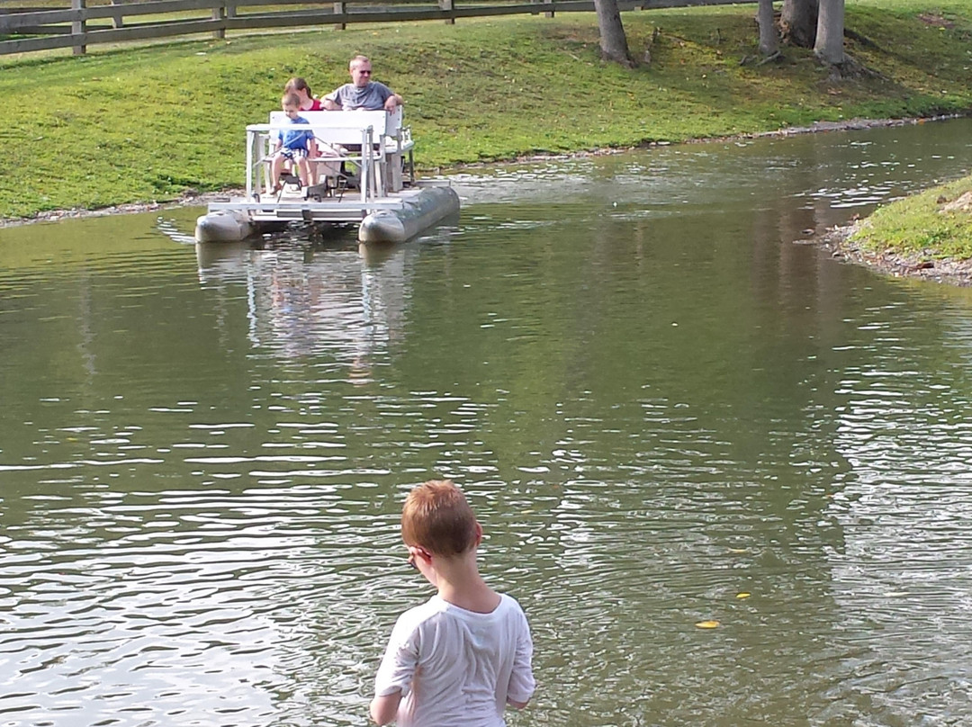 Farmland Animal Park-Chemung必去景点