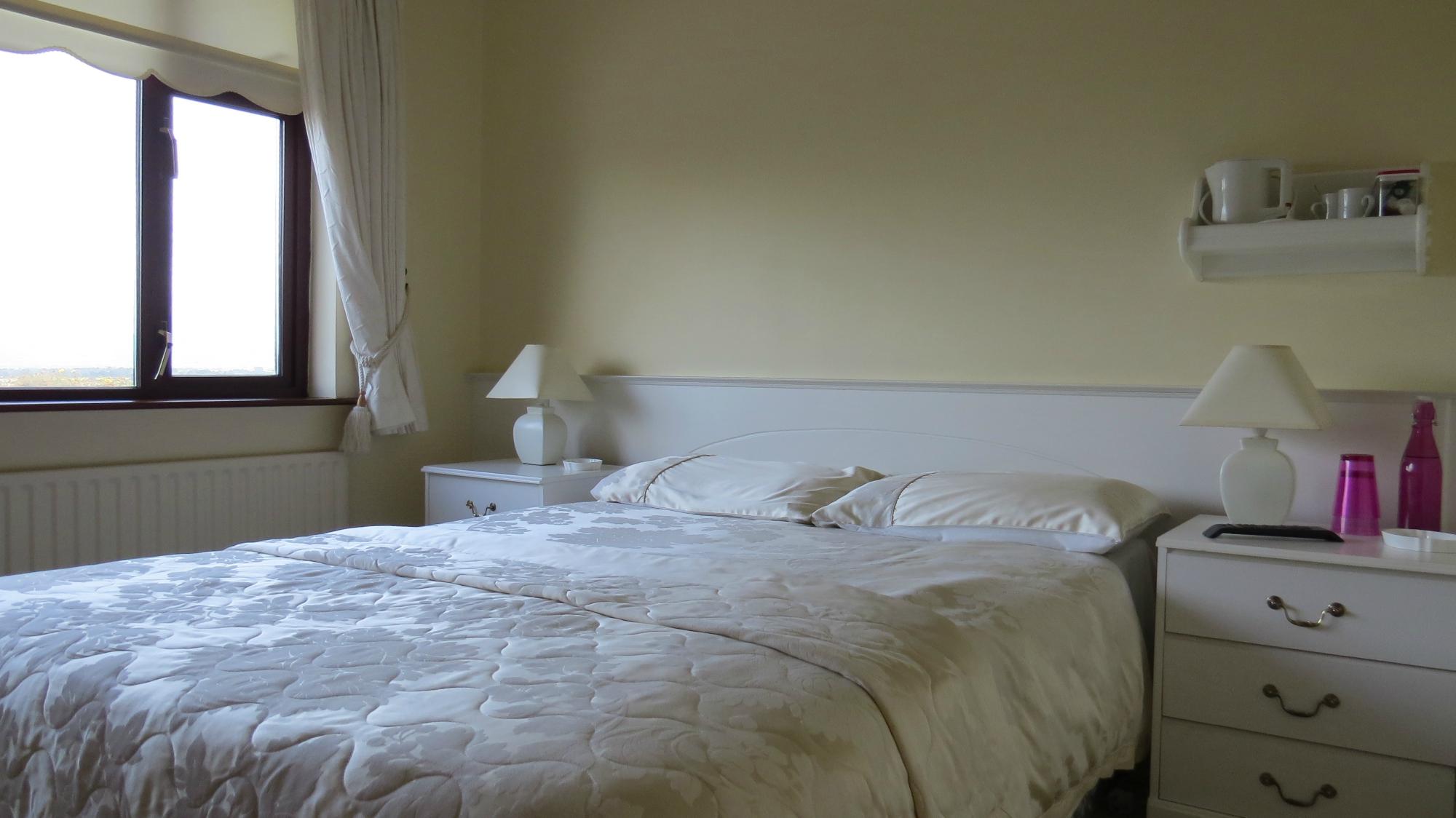 Hollymount House B&B-客卧