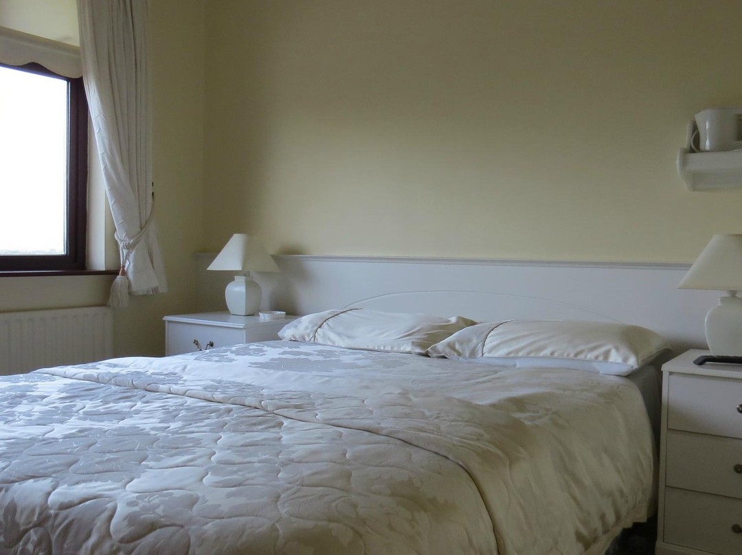 Burncourt酒店住宿-Hollymount House B&B