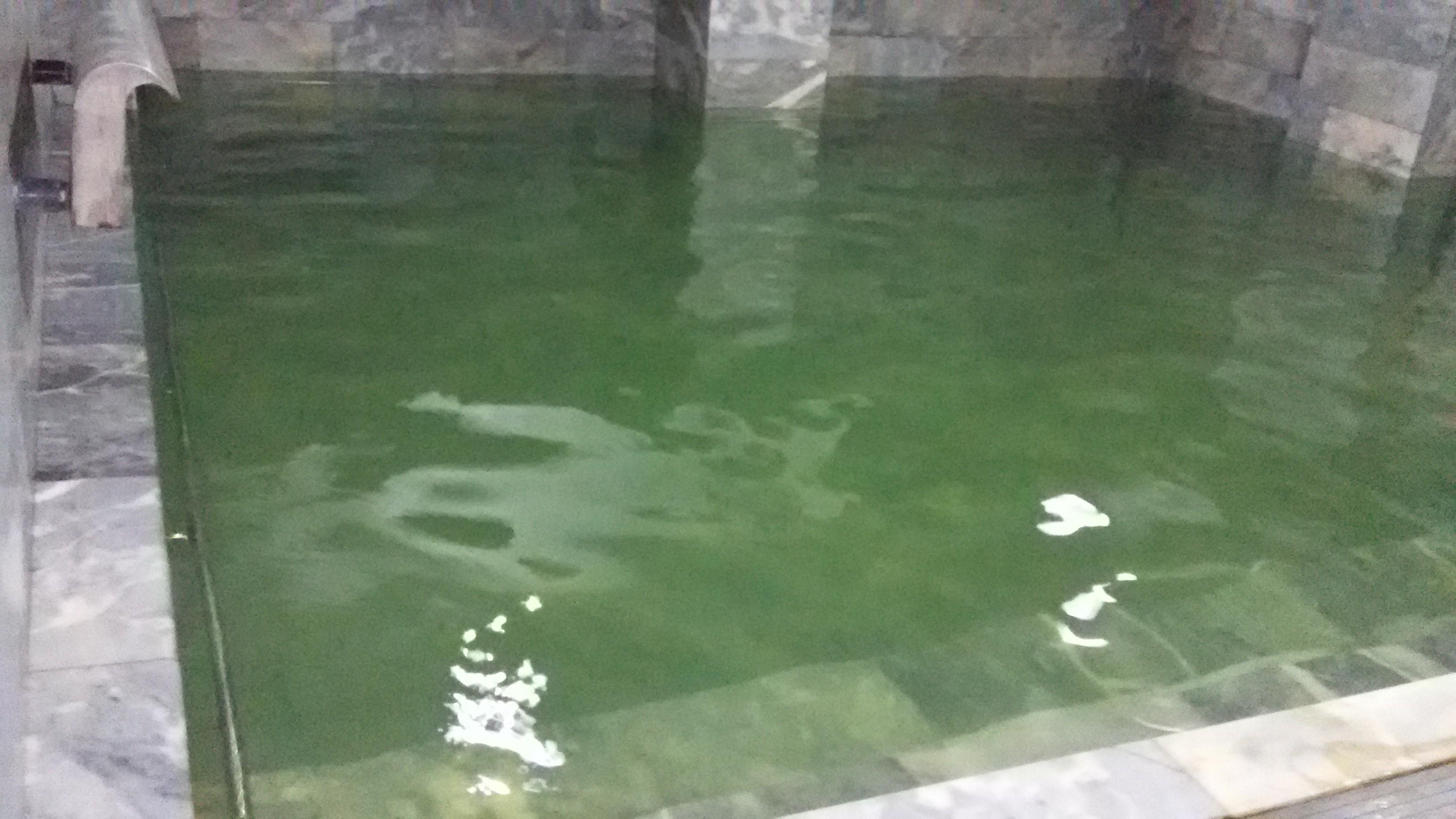 Basak Termal Hotel-泳池