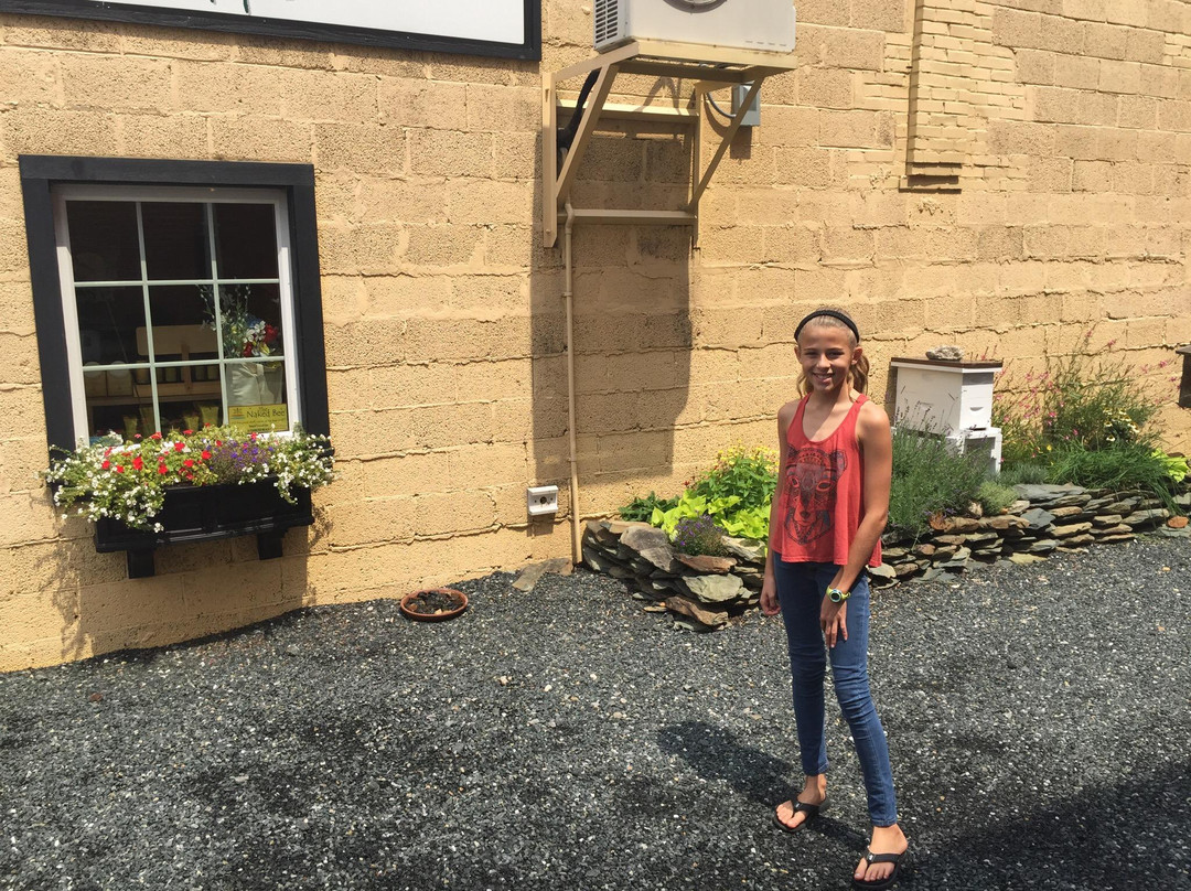 Honey Hole-West Jefferson必去景点