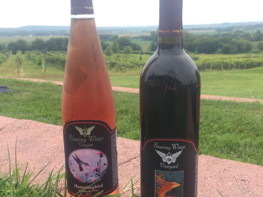 Soaring Wings Vineyard-Springfield必去景点