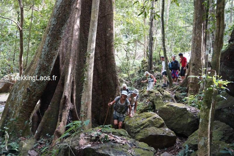 Trekking Laos - Day Tours-琅勃拉邦必去景点