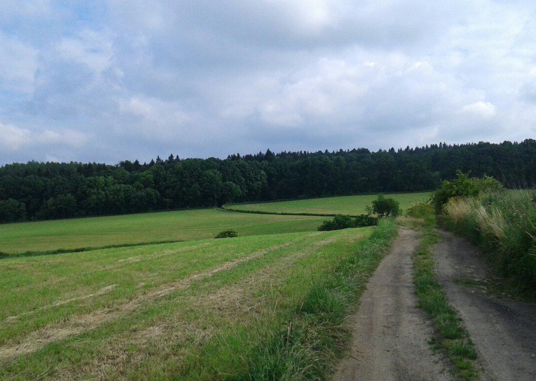 Książ Landscape Park-Walbrzych必去景点