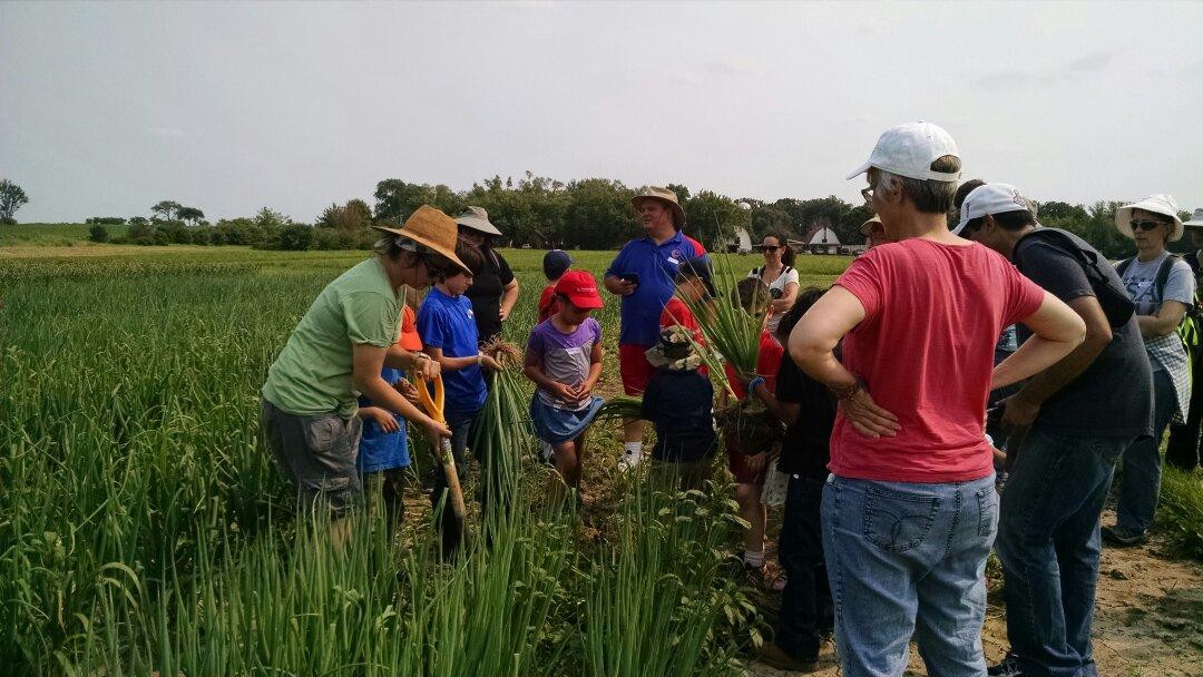 Angelic Organics Learning Center-Caledonia必去景点