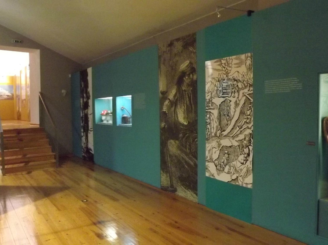 Museu Municipal de Aljustrel MuMA景点图片
