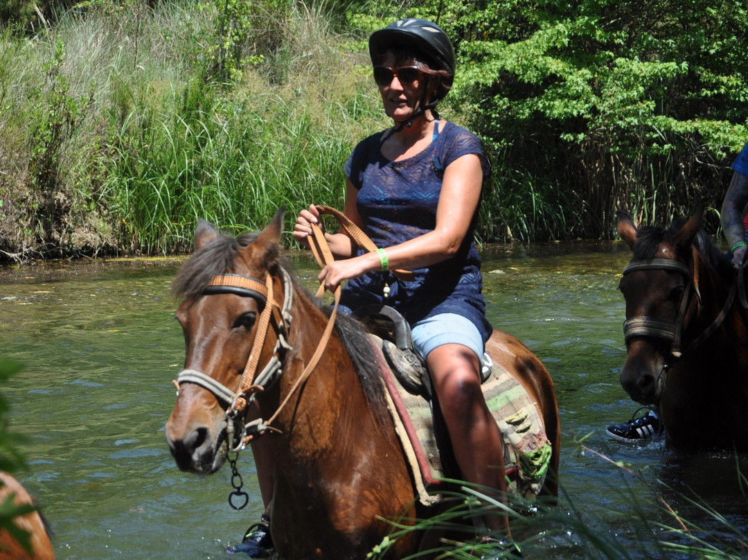 Pinar Horse Safari景点图片
