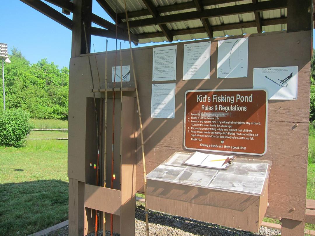 Buford Trout Hatchery-卡明必去景点