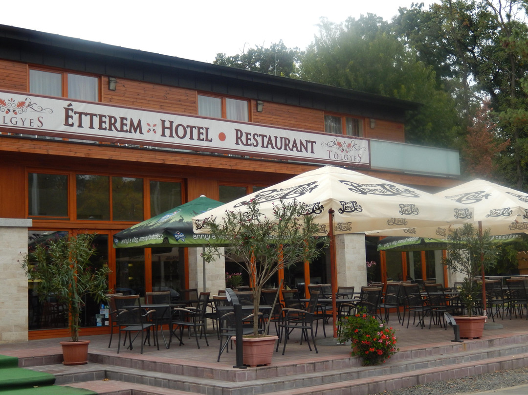 Nagycserkesz酒店住宿-Tolgyes Panzio Es Etterem