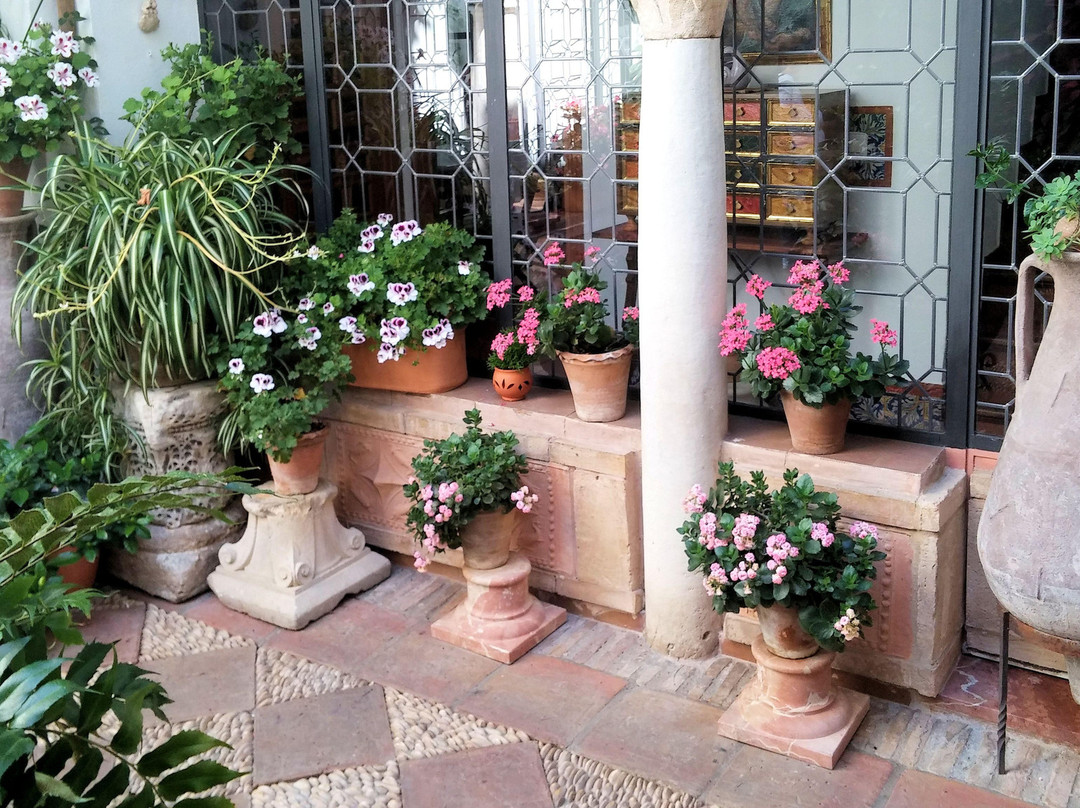 Los Patios de San Basilio景点图片