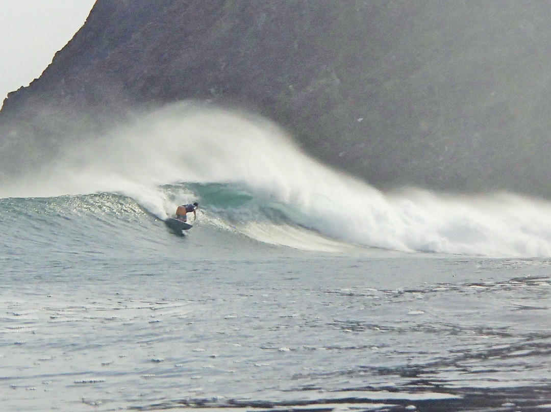 Single Fin Surf Charters-Playas del Coco必去景点