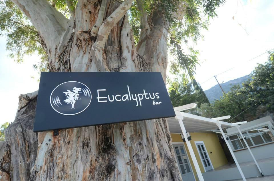 Eucalyptus Bar-Leonidio必去景点