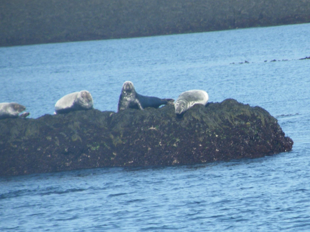 Seal Cove景点图片
