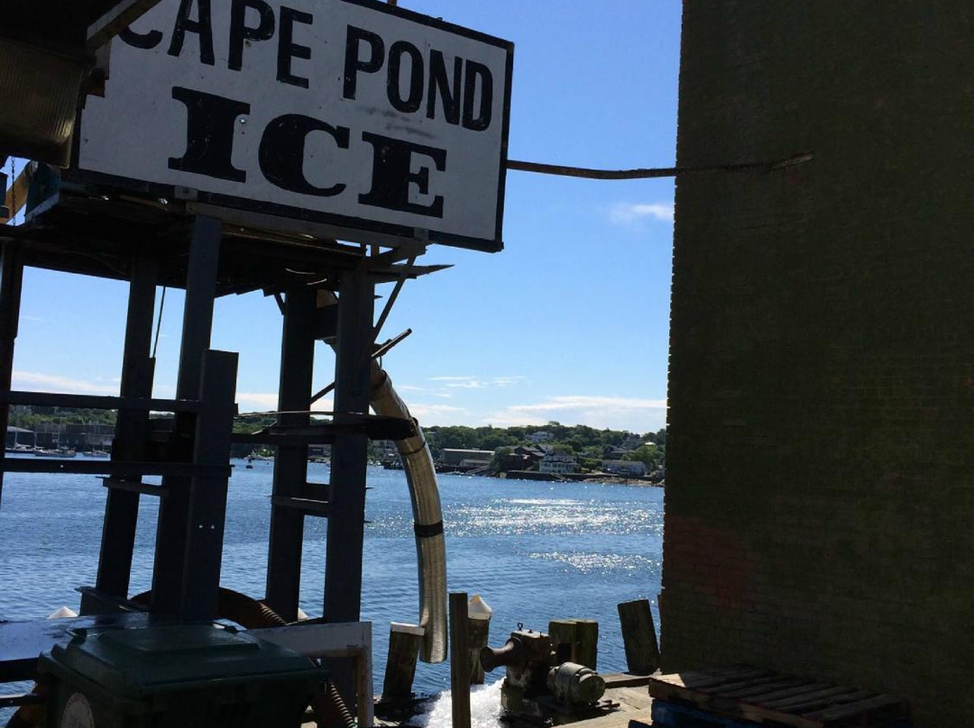 Cape Pond Ice景点图片