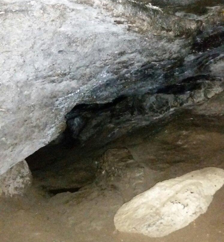 Boone's Cave Park-Lexington必去景点