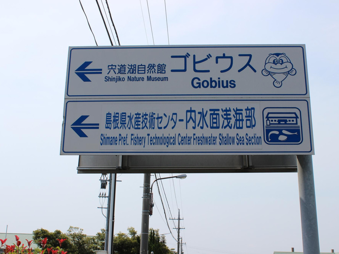 Shinjiko Nature Museum Gobius-出云市必去景点