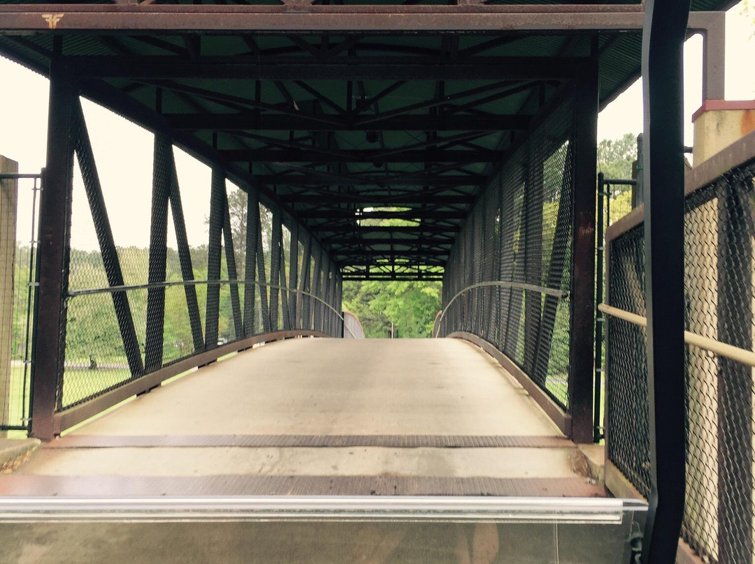 Golf Cart Paths-桃树市必去景点