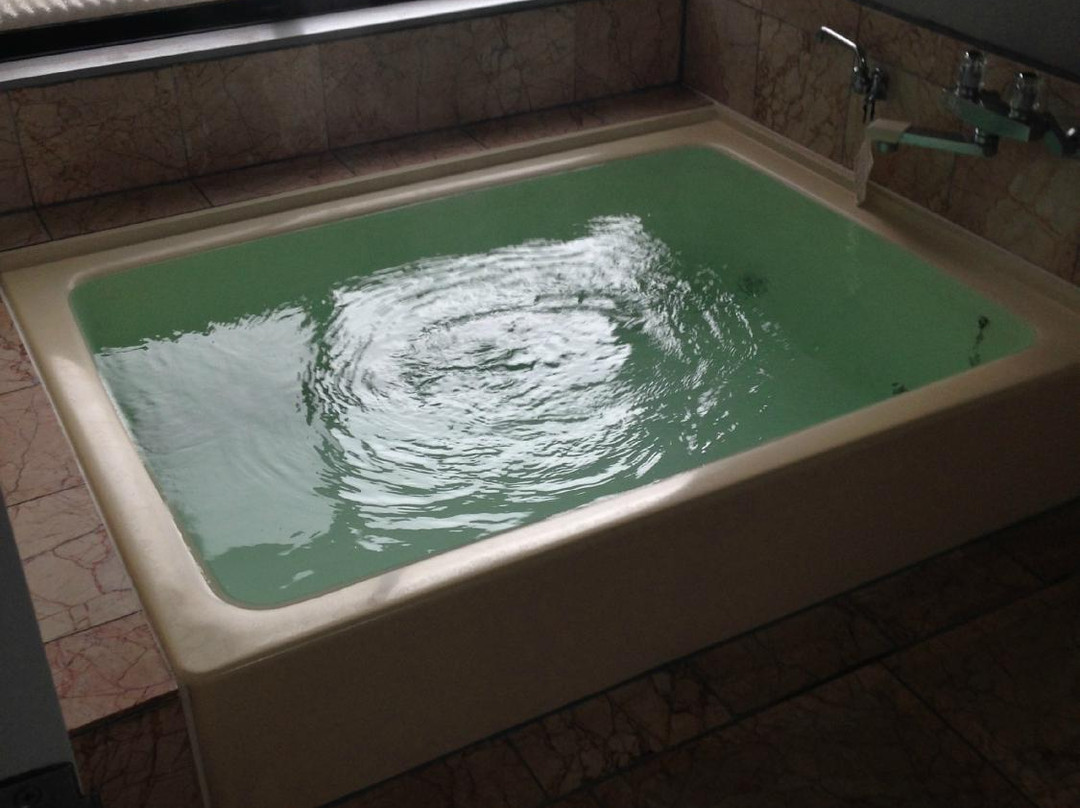 Riverside Inn Tamagawa主图