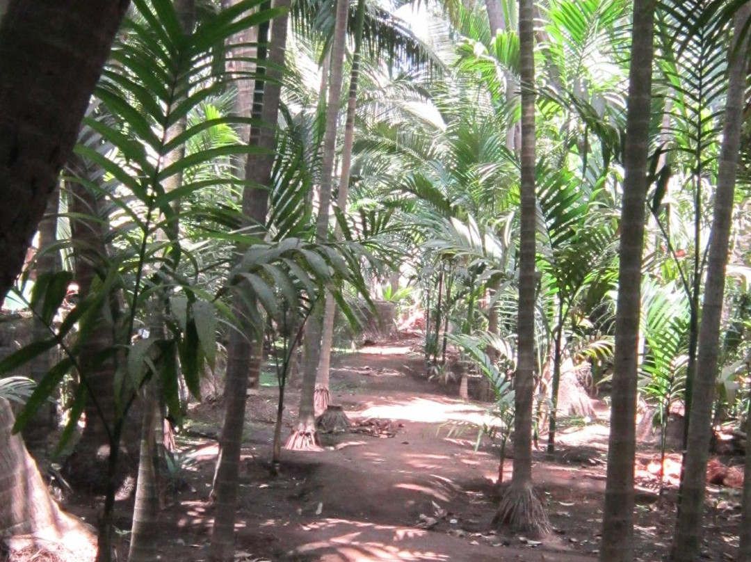 RamKamal Homestays主图