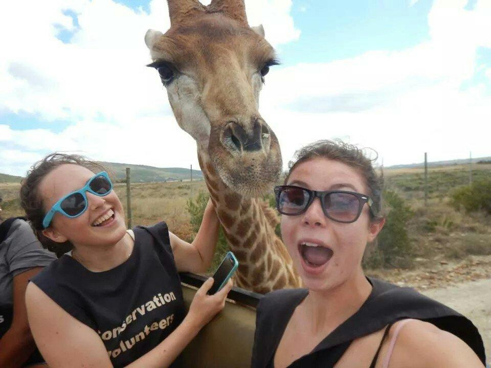 Umkhondo Big Five-阿尔贝蒂娜必去景点