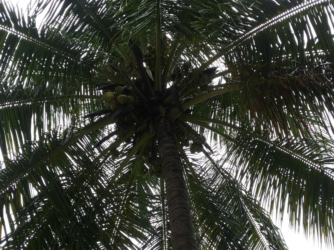 Hotel Parvati Palace主图