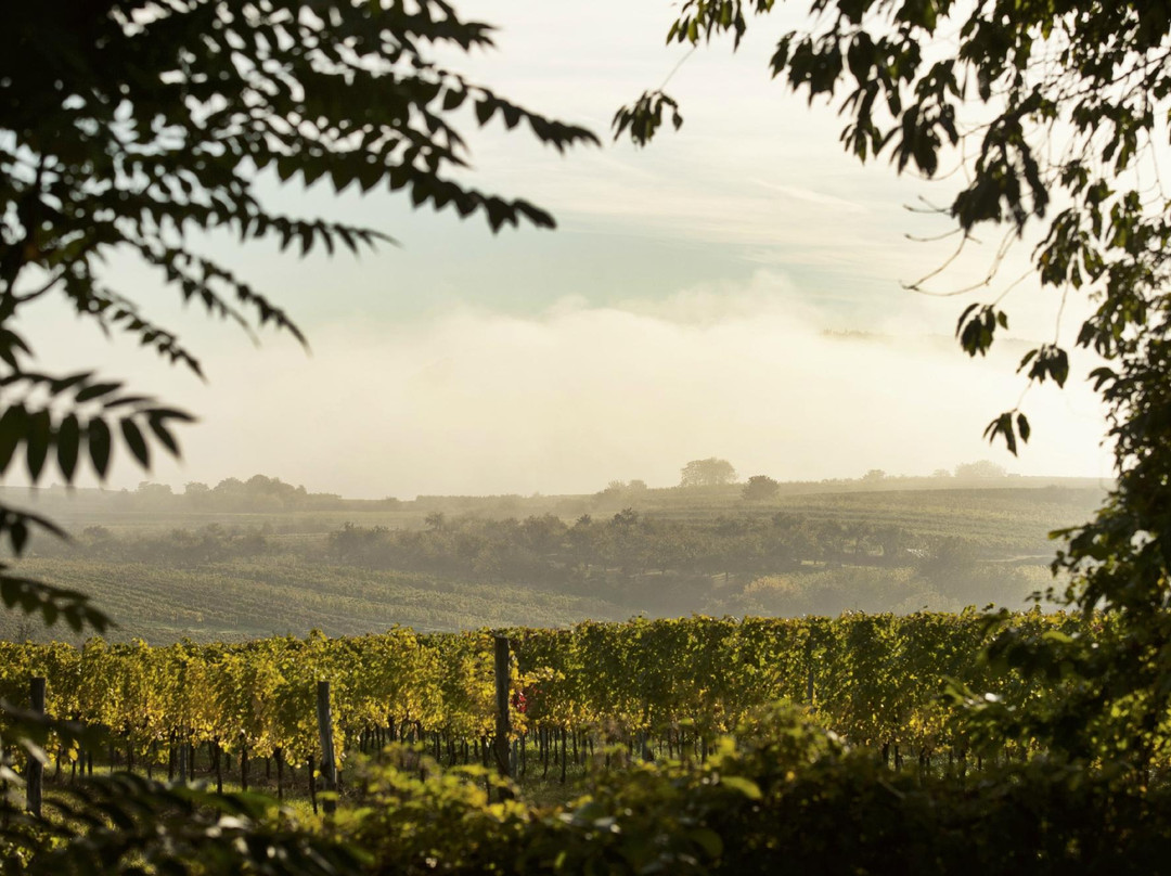 Bio-Weingut Geyerhof-Furth bei Goettweig必去景点
