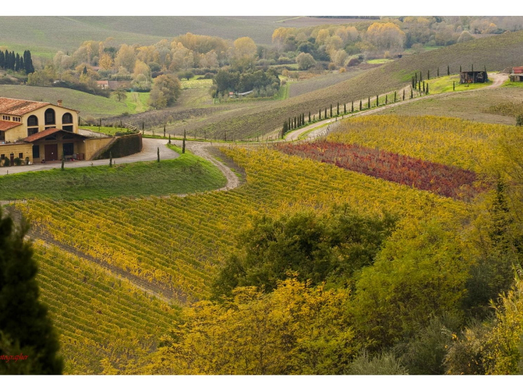 Azienda Agricola Castelvecchio主图