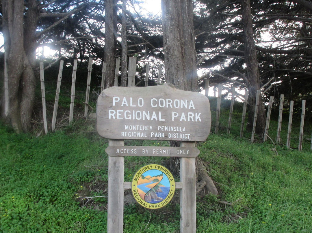 Palo Corona Regional Park-卡梅尔必去景点