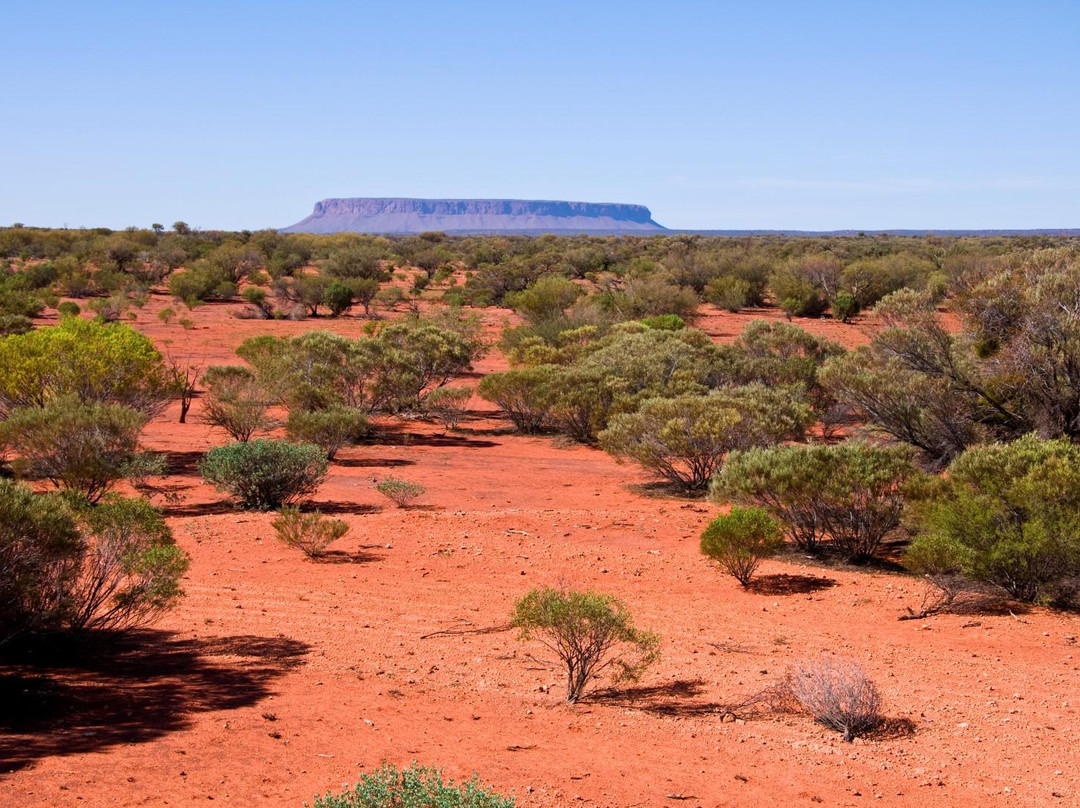Mount Conner-West MacDonnell National Park必去景点