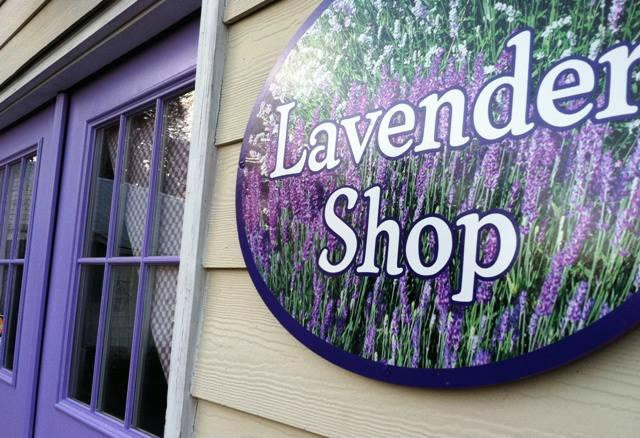 Seven Oaks Lavender Farm-Catlett必去景点