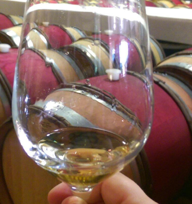 Bubbly Grape Wine Tours-布伦海姆必去景点