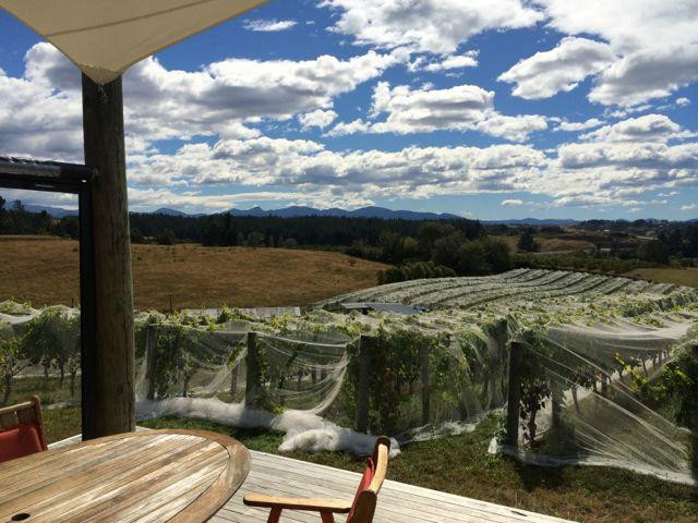 Rimu Grove Winery景点图片