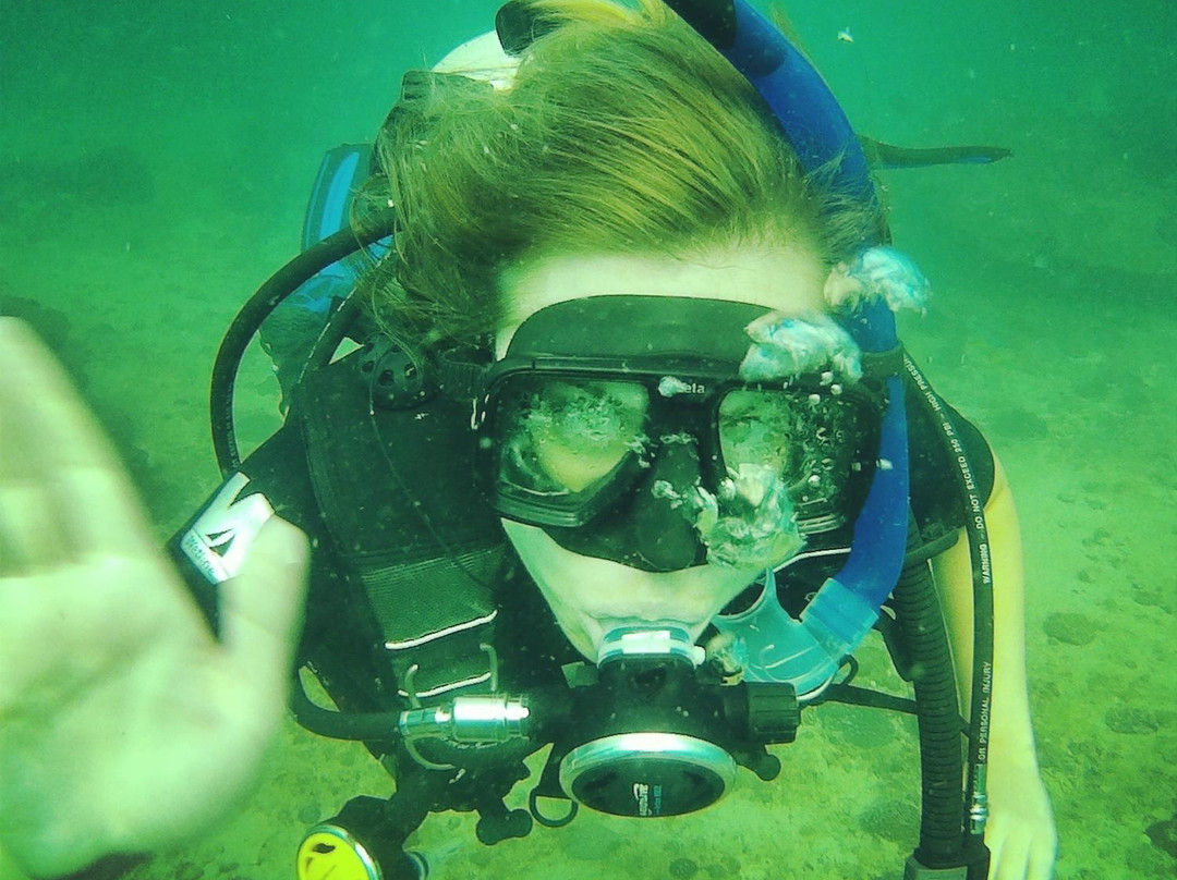 Epic Encounters Dive & Adventure Centre景点图片