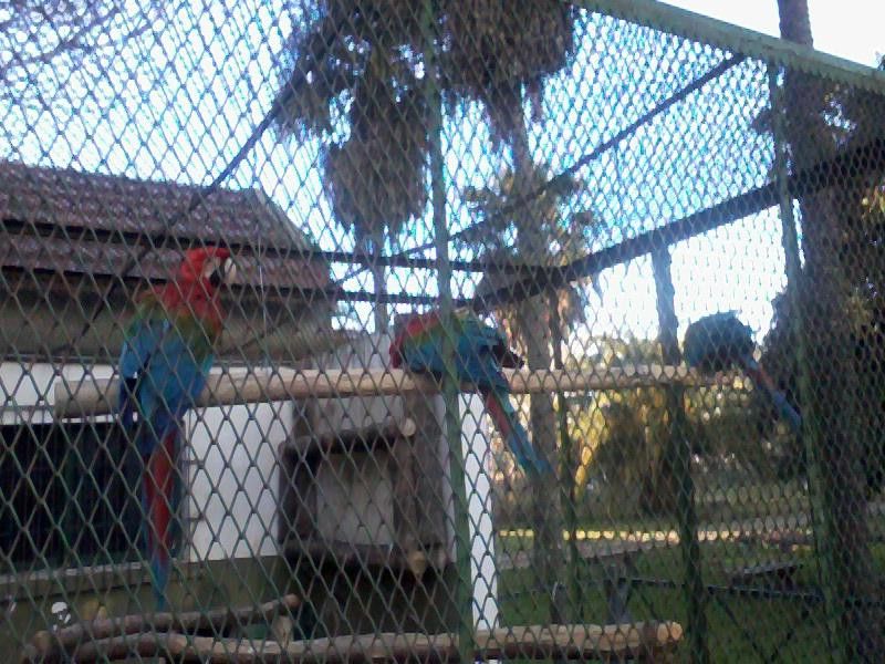 Parque Zoologico La Maxima-Olavarria必去景点