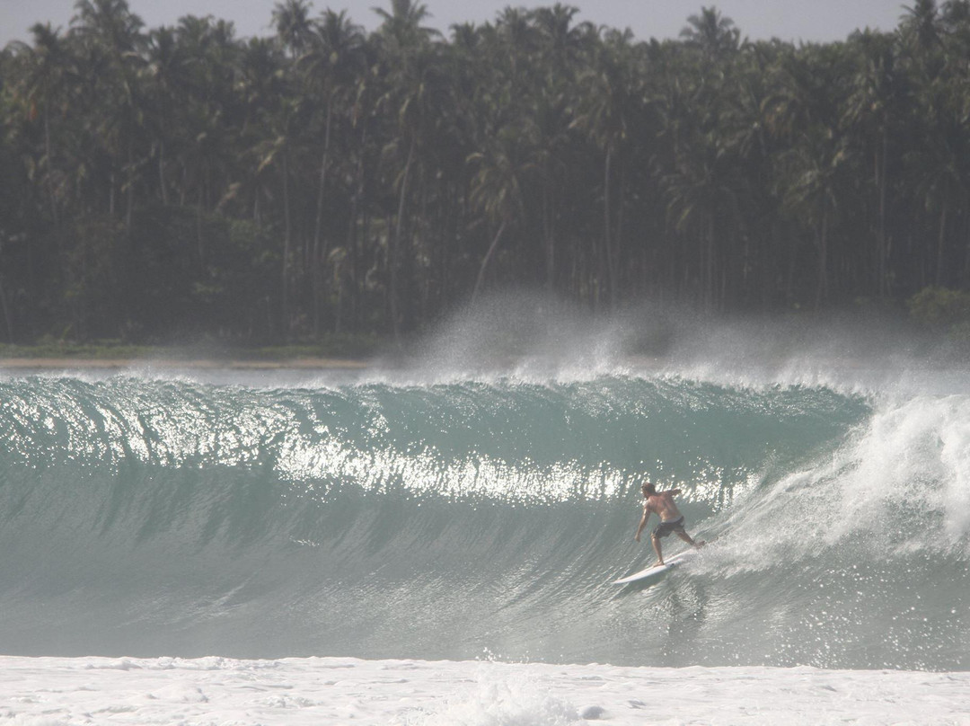 Hash & Family Surf Camp景点图片