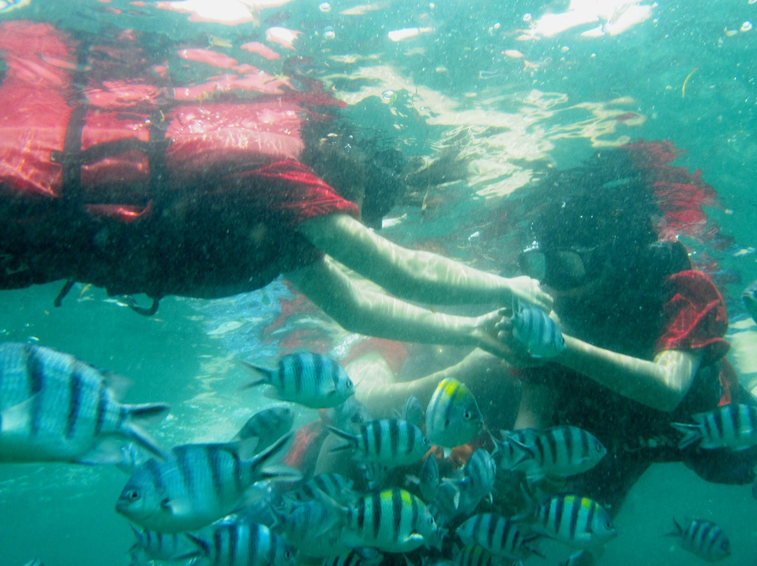 Kusuma Tour - Day Tours-登巴萨必去景点