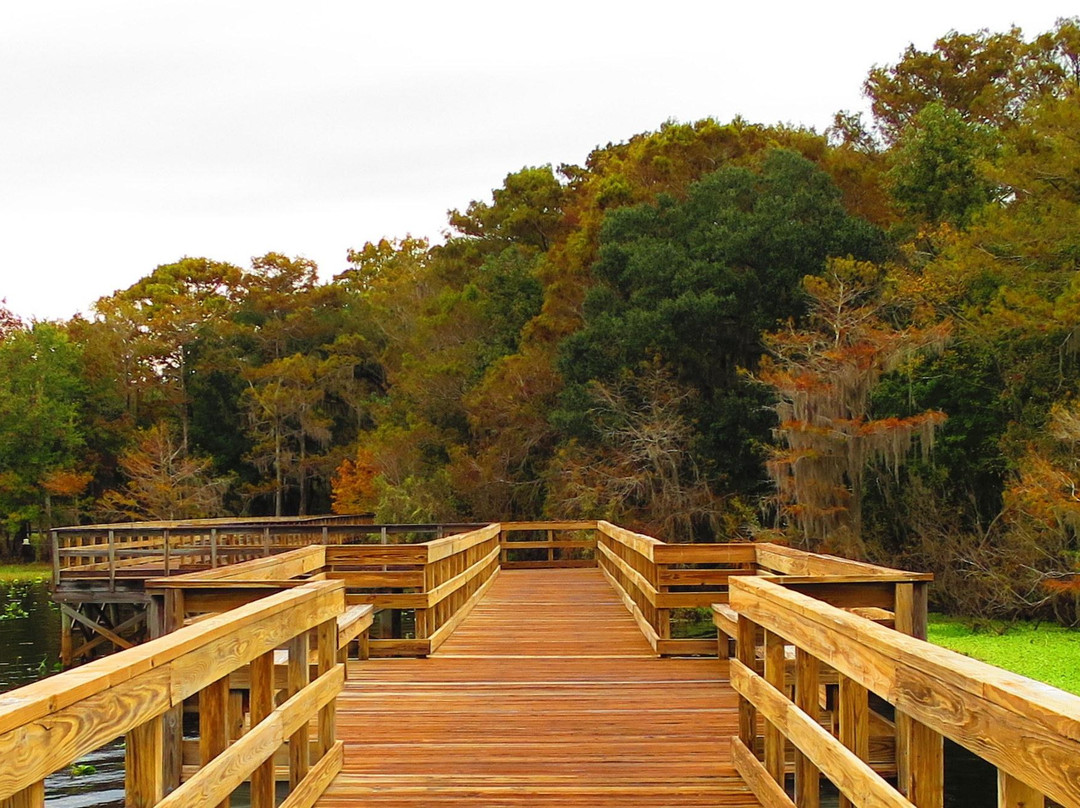 Lake Ashby Park-新士麦那海滩必去景点