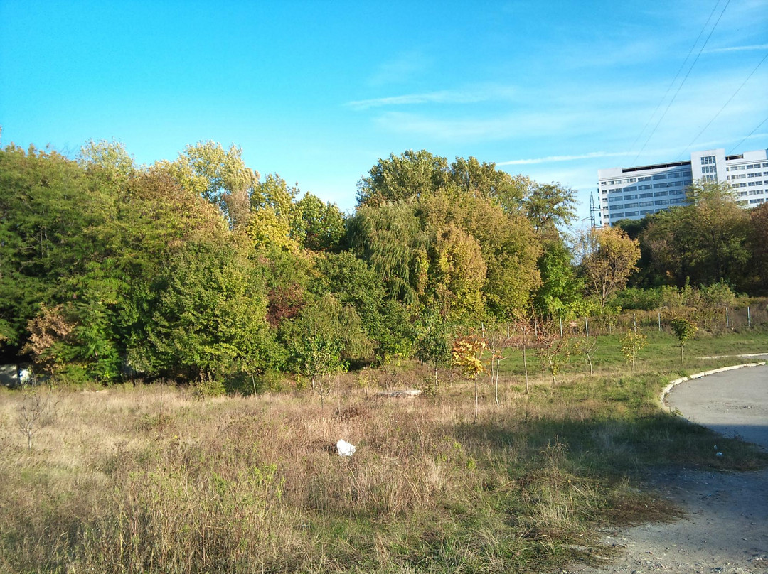 Botanical Garden of Dnipro National University-第聂伯罗必去景点