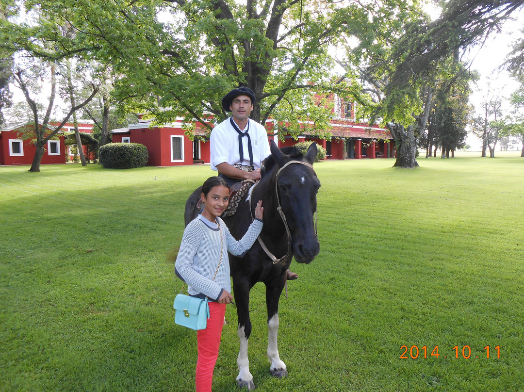 Private Concierge Buenos Aires- Day Trip-布宜诺斯艾利斯必去景点