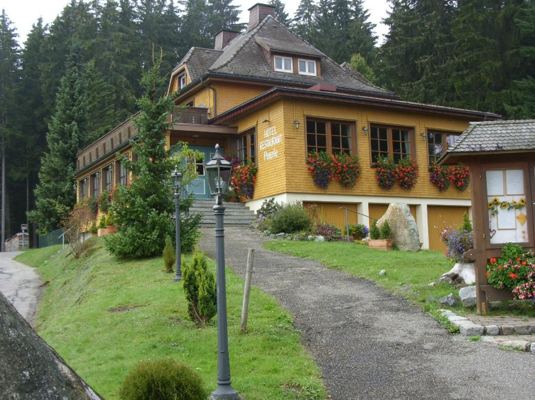 菲尔德山餐馆和美食-Peterle Hotel & Restaurant