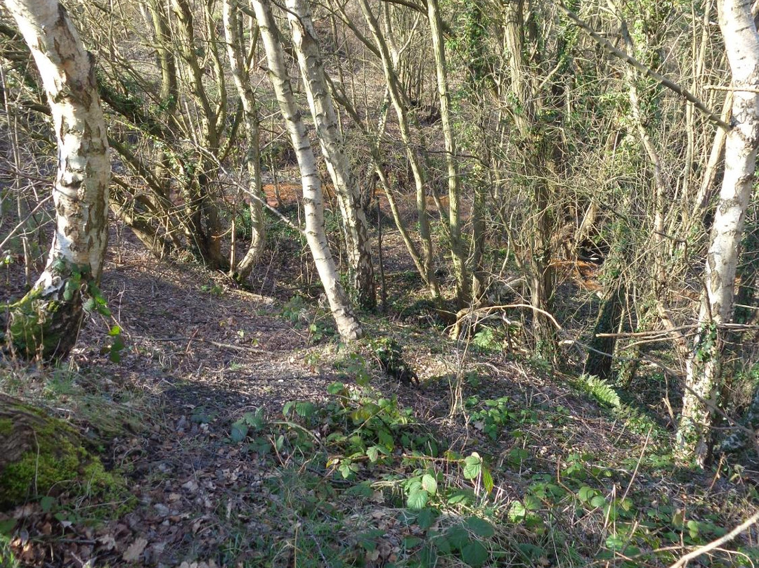 Granville Country Park-特尔福德必去景点